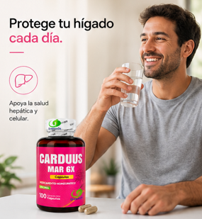 CARDO MARIANO - Apoya tu hígado y siéntete más ligero cada día